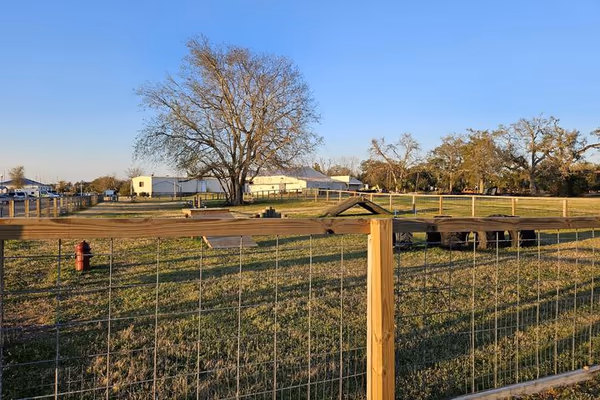Kings Park Dog Run photo 1